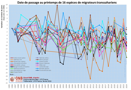 Visuel_Indicateur_Evolution__date_migration_certain_oiseaux
