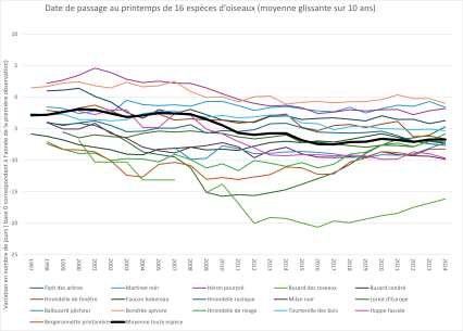 Graphique 1 Date de passage au printemps de 16 espèces de migrateurs transsahariens observés à la Pointe de Grave