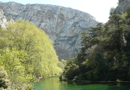 Fontaine la Sorgue en aval de la source