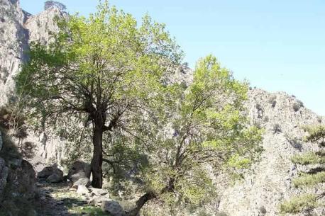 Image d'illustration