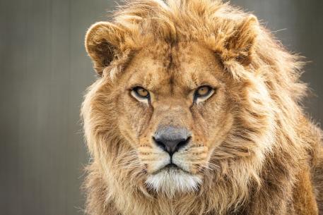 Image d'illustration