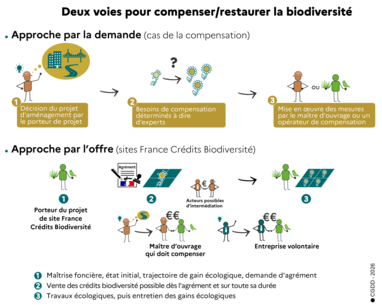 Deux voies pour compenser/restaurer la biodiversité