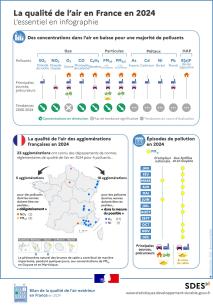 Infographie : La qualité de l'air en France en 2024