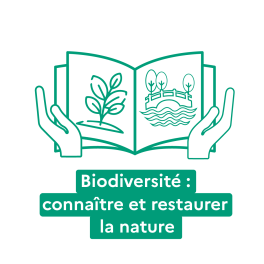 Biodiversité : connaître et restaurer la nature