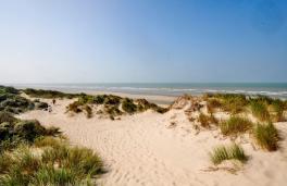 Dunes de Flandres, photo d'illustration