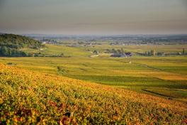 Côtes de Nuit, Clos-Vougeot, photo d'illustration