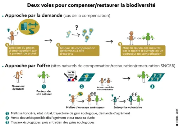 Deux voies pour compenser/restaurer la biodiversité