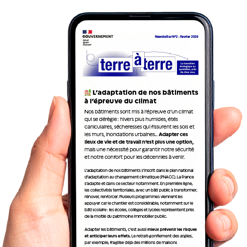 Capture d'écran de la newsletter Terre à Terre